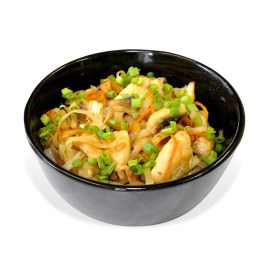 Udon noodles with chicken and mushrooms